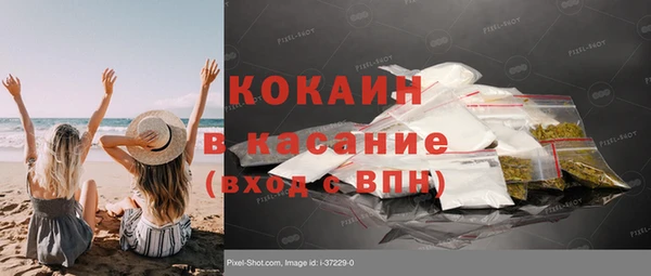 спиды Богородицк