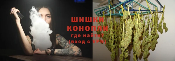 спиды Богородицк