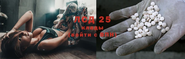 СК Строитель