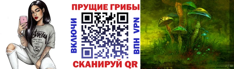 Галлюциногенные грибы MAGIC MUSHROOMS  где продают   Котельниково 